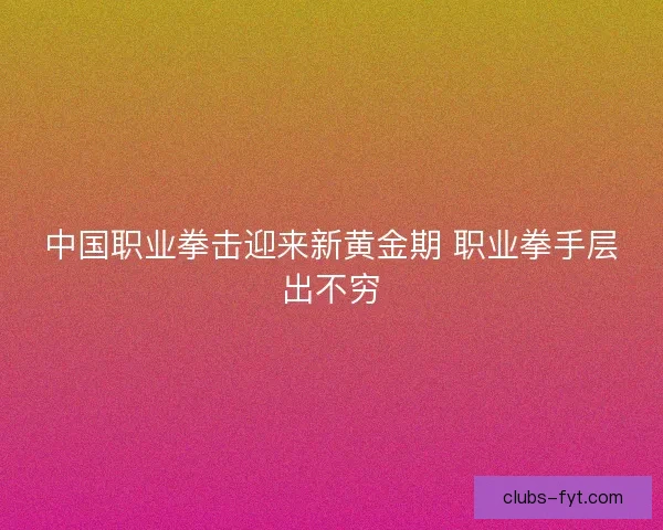 中国职业拳击迎来新黄金期 职业拳手层出不穷