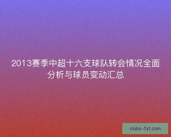 2013赛季中超十六支球队转会情况全面分析与球员变动汇总
